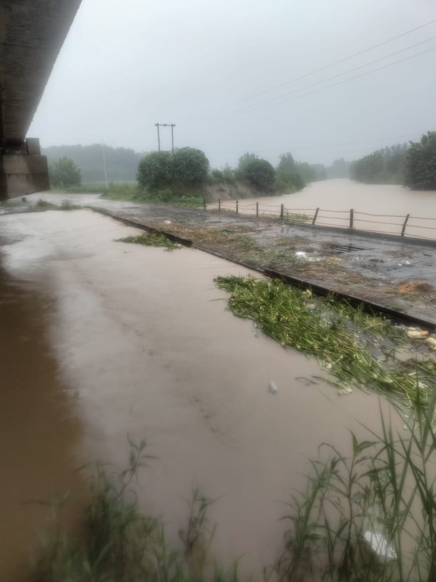 उत्तराखंड की शिवालिक पहाड़ियों में भारी बारिश से सोलानी नदी उफान पर, क्षेत्र के दर्जनों गांवों में भरा पानी