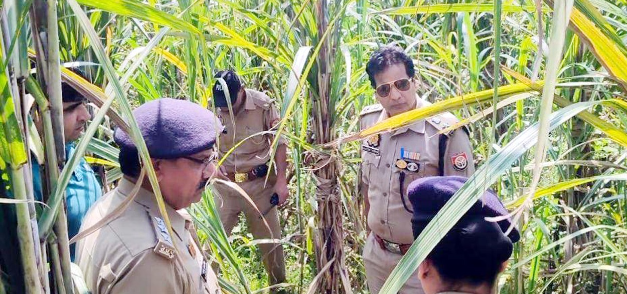 एसएसपी ने ईंख के खेत में घुसकर जाना लूट का पूरा प्लान