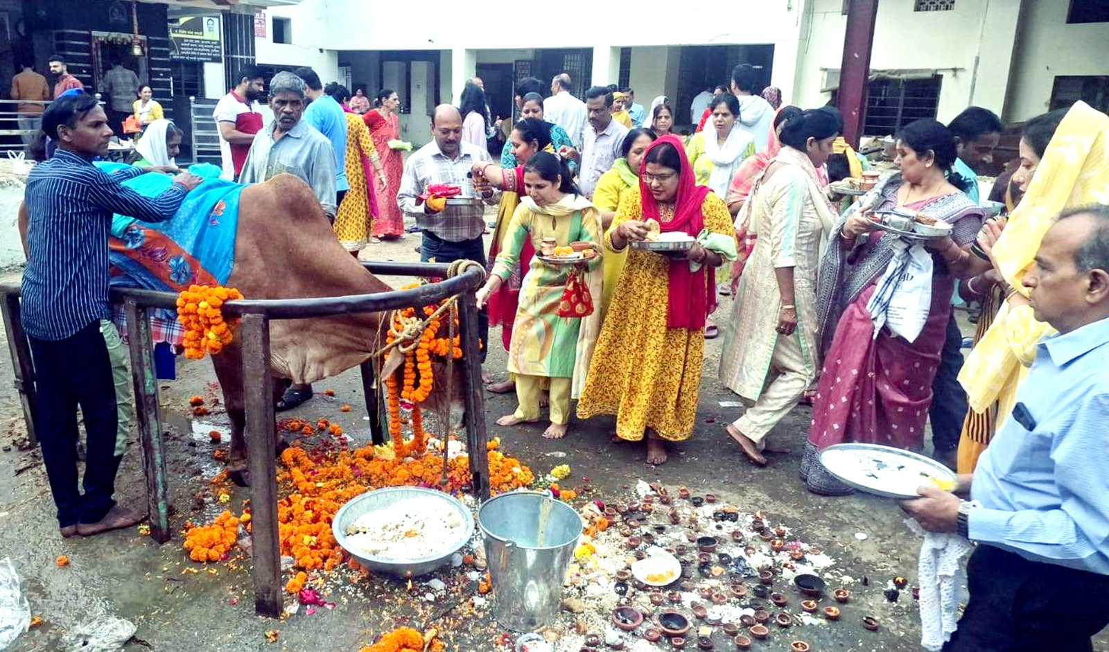 ‘जन्म-जन्म का नाता है, गाय हमारी माता है’