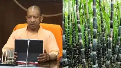 योगी के गिफ्ट से किसान बेल्ट में हुई बल्ले-बल्ले